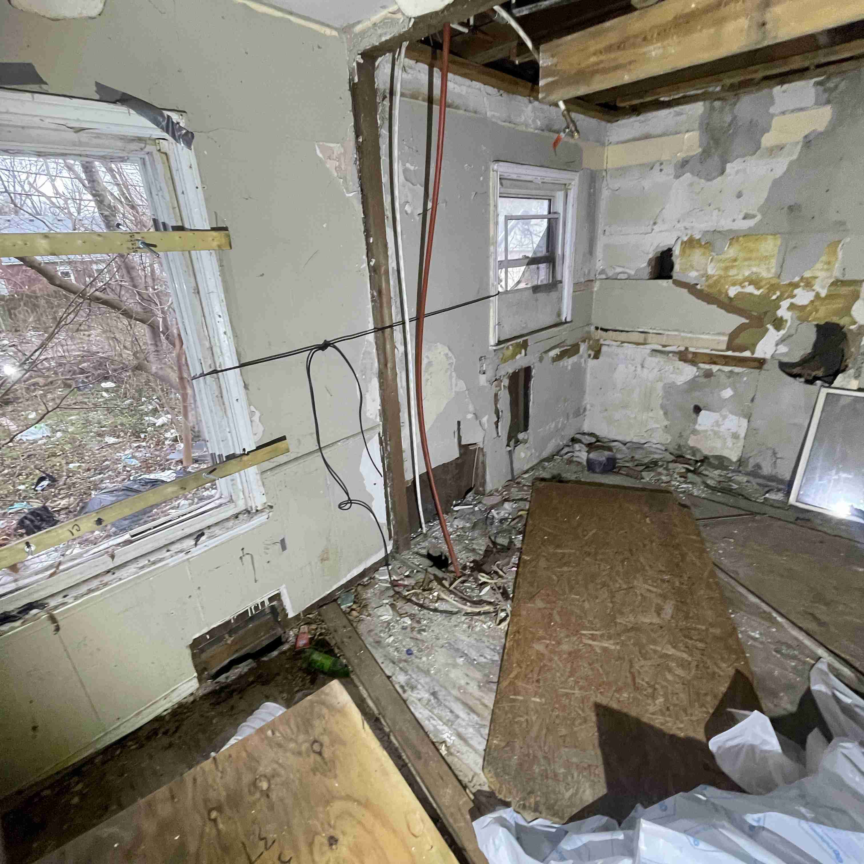 20017 Schoenherr (70).jpg